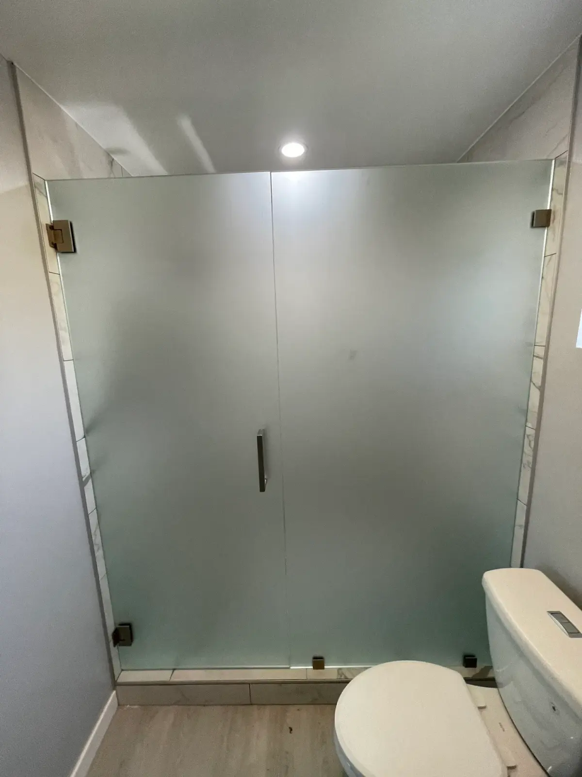 Frosted-glass shower door and panel with a brushed-nickel handle for full privacy